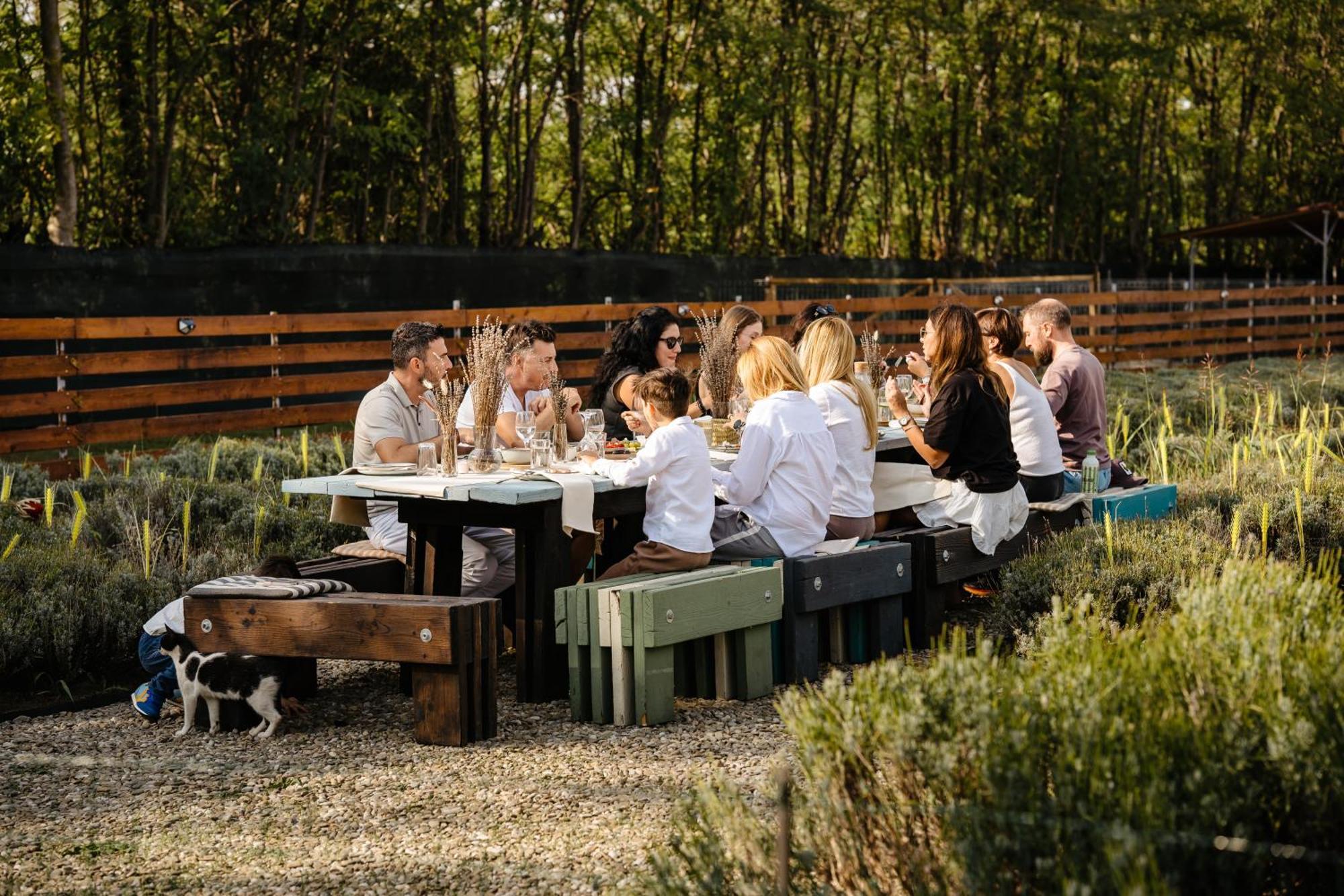 فندق The Tribe Alpaca Retreat Branesti المظهر الخارجي الصورة