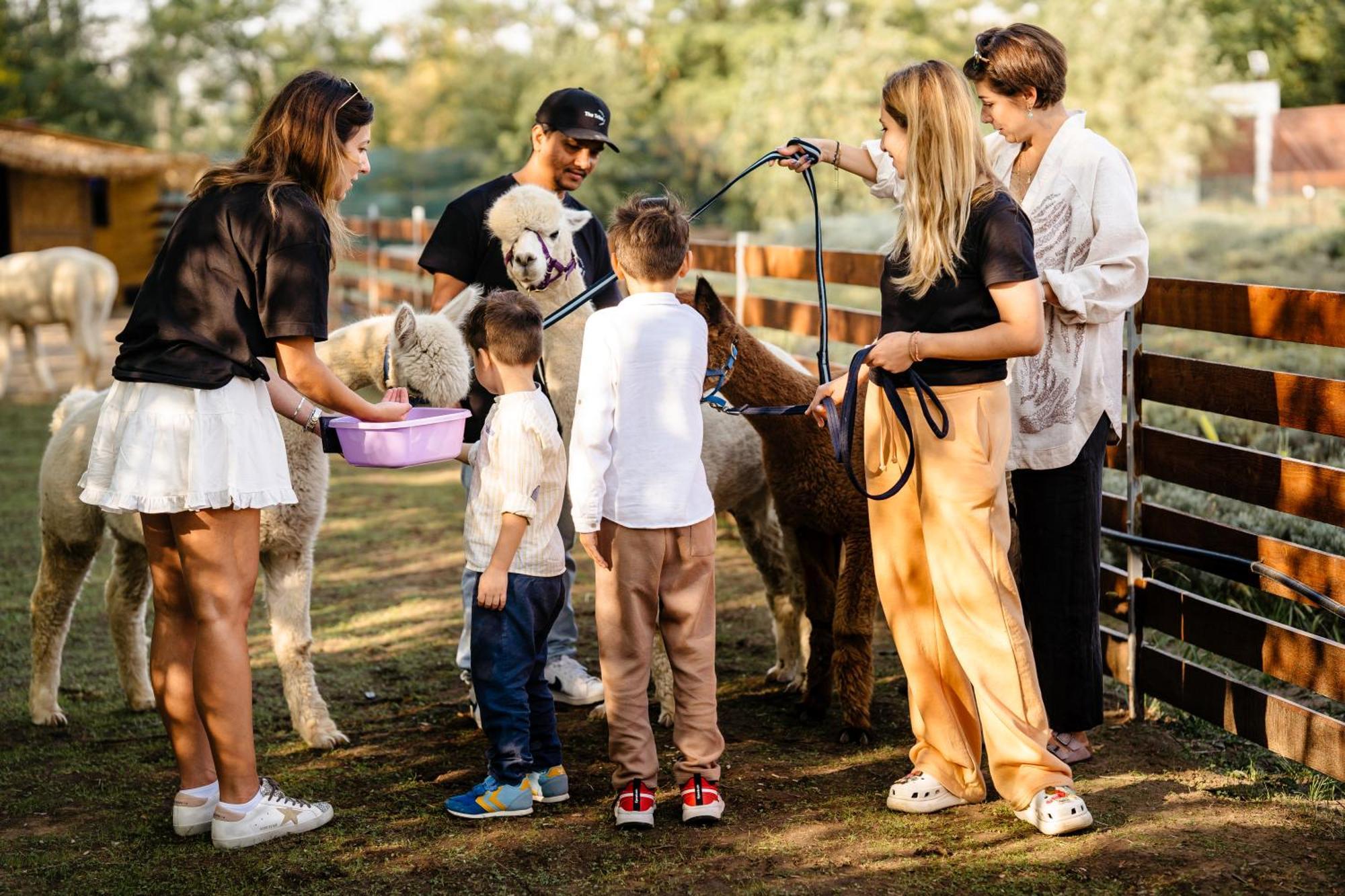 فندق The Tribe Alpaca Retreat Branesti المظهر الخارجي الصورة
