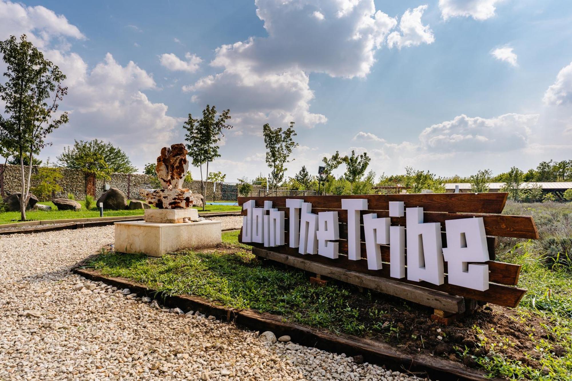 فندق The Tribe Alpaca Retreat Branesti المظهر الخارجي الصورة